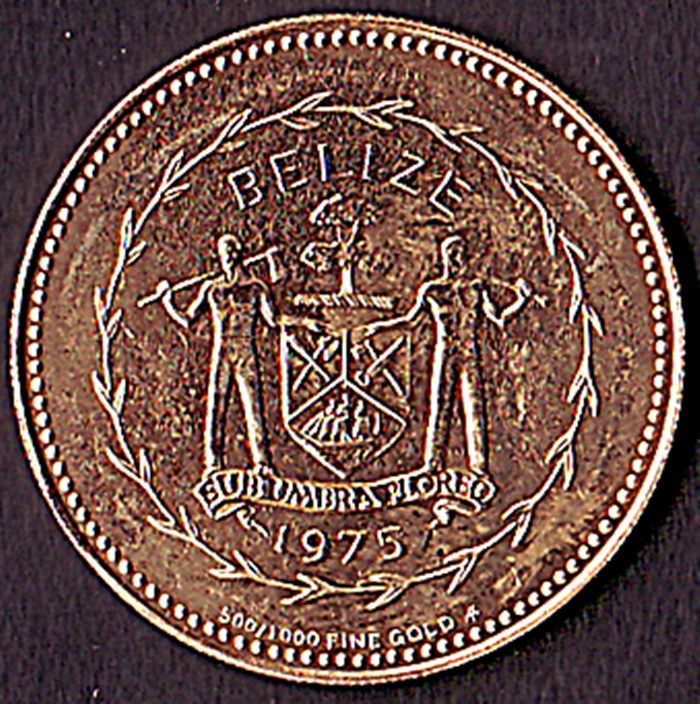 Click to see info on this coin!