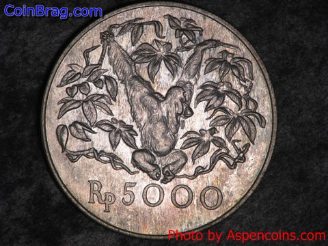 Click to see info on this coin!